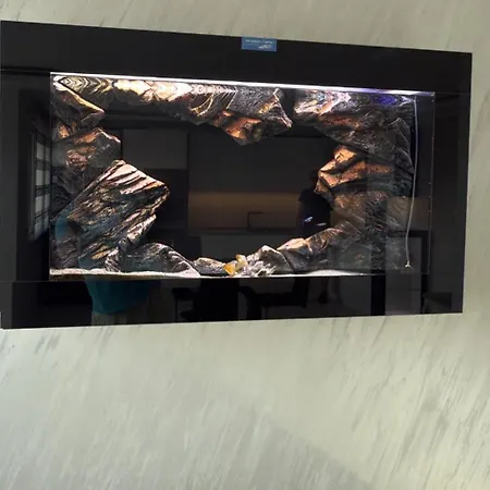 Taurunum Lux 30 Apartment Belgrade