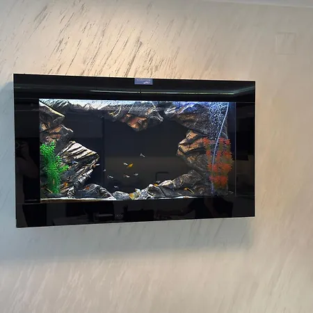 Апартаменты Taurunum Lux 30 Белград